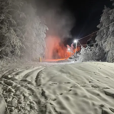 Bela Reka C320 Kopaonik